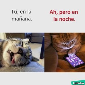 Meet your Posher, Yamileth