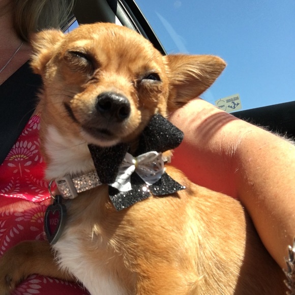 Meet your Posher - Picture 2 of 3