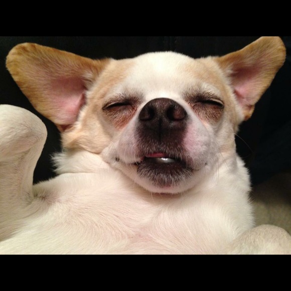 Meet your Posher - Picture 3 of 3