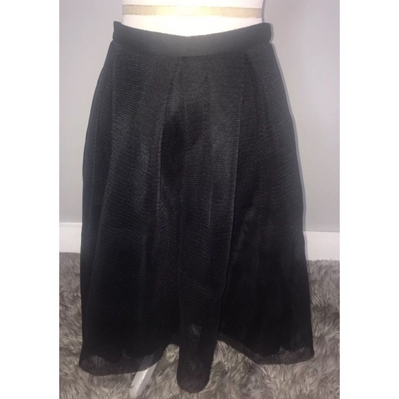 Mesh A-lined Midi Skirt - Picture 2 of 4