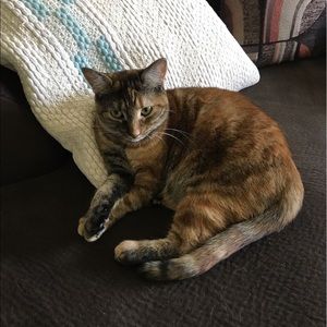 Meet your Posher, Megan