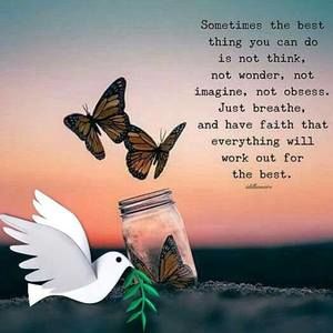 Meet your Posher, Lu