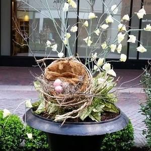 Meet your Posher, Karyn