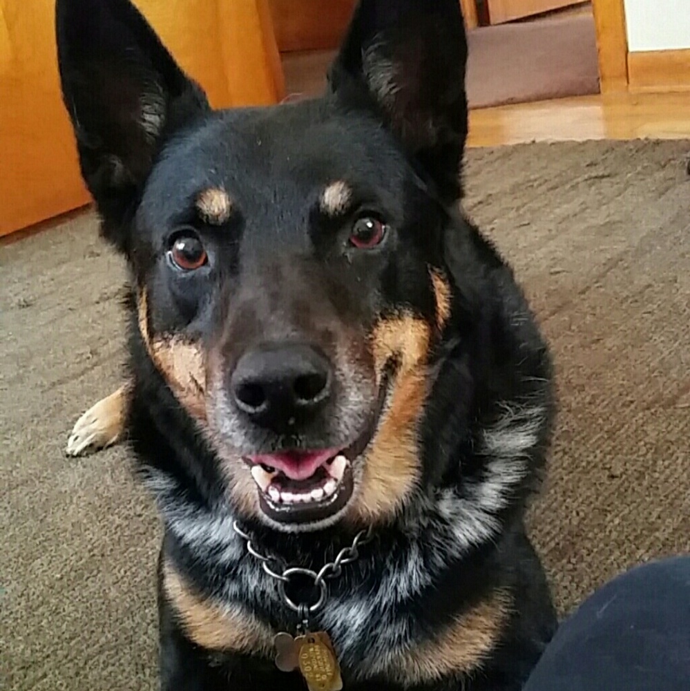 Meet your Posher, Mary