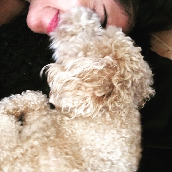 Clothes & shoes & more, oh my! - Picture 2 of 3