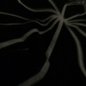 Meet your Posher, Omar