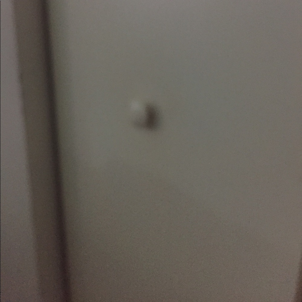 Meet your Posher, Karina