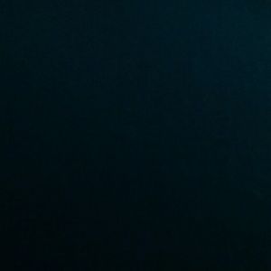 Meet your Posher, Shakita