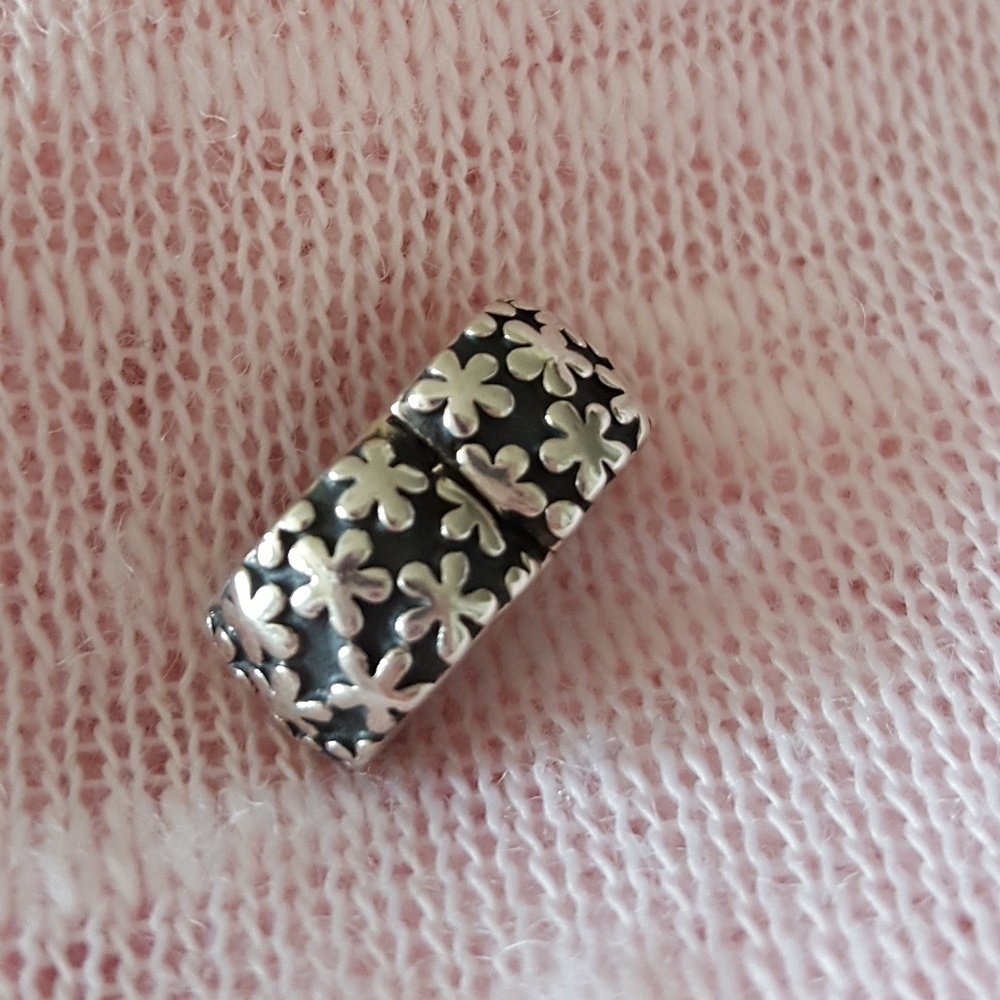 Pandora Clip