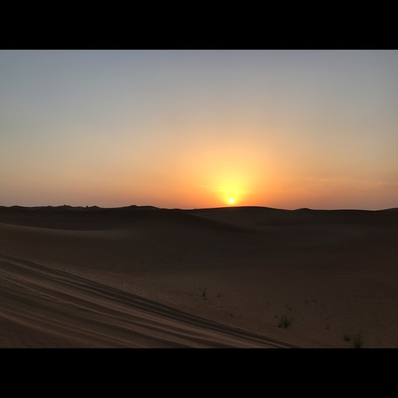 Meet your Posher, Larsen - Picture 1 of 1