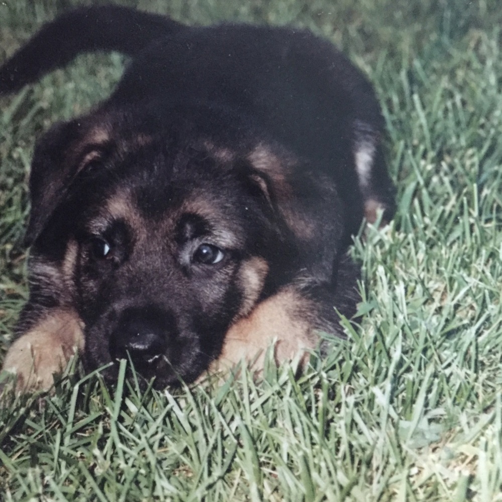 Meet your Posher, Kayleigh