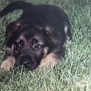 Meet your Posher, Kayleigh