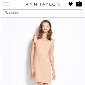 ANN TAYLOR DRESS!
