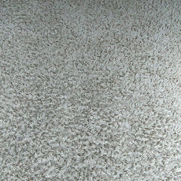 Meet your Posher, Shawn - Picture 1 of 1