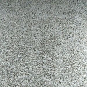 Meet your Posher, Shawn