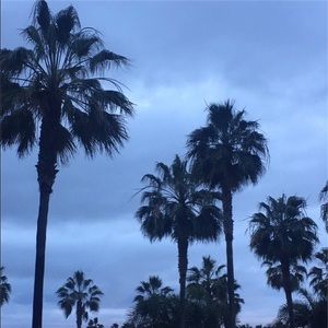 Meet your Posher, Riley