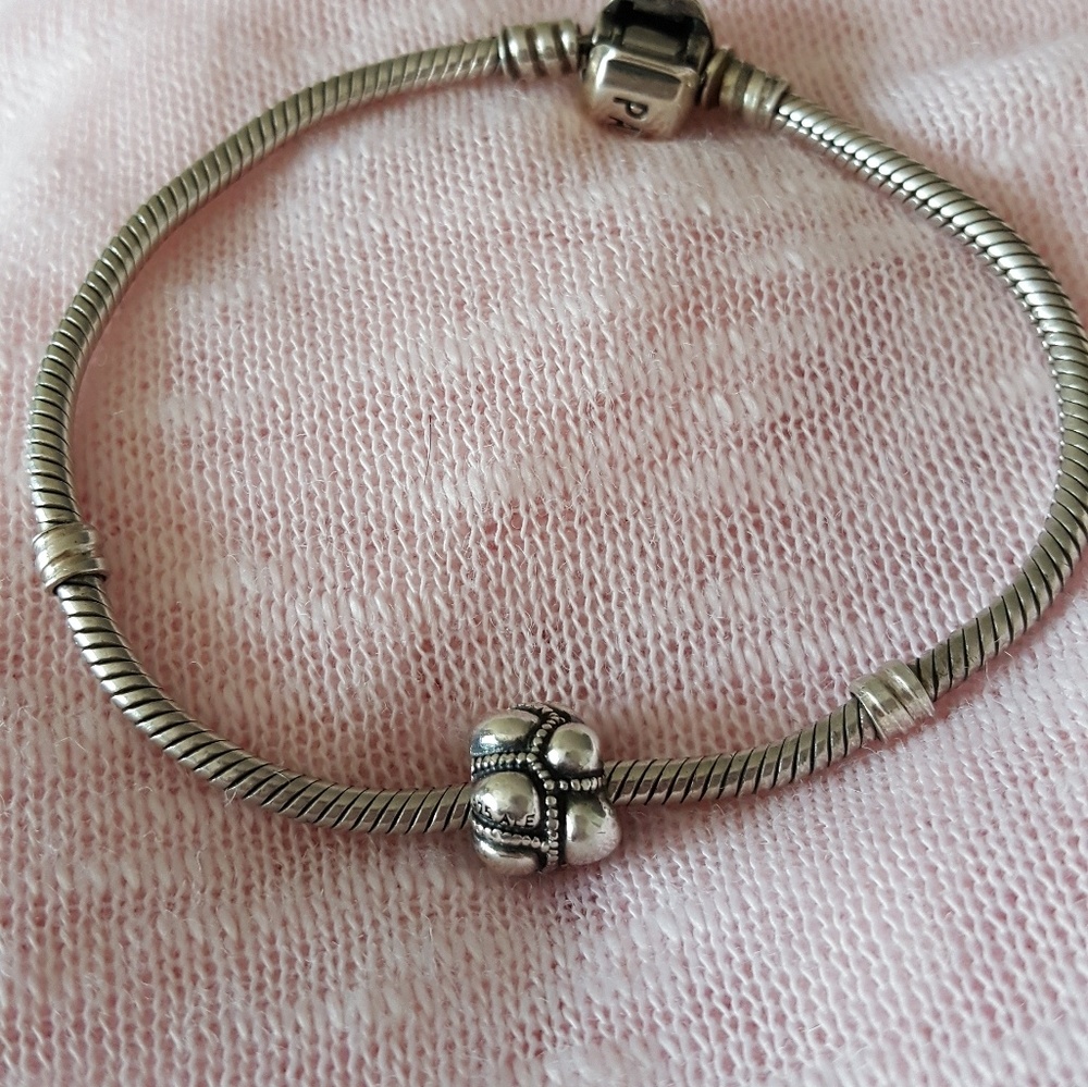 Pandora Charm