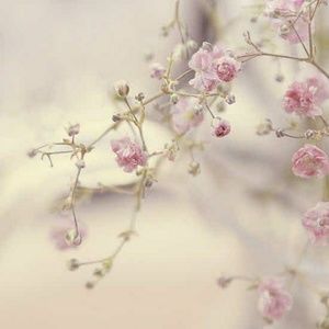 Meet your Posher, Tricia