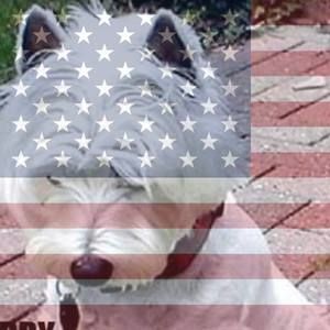 Meet your Posher, Lorraine