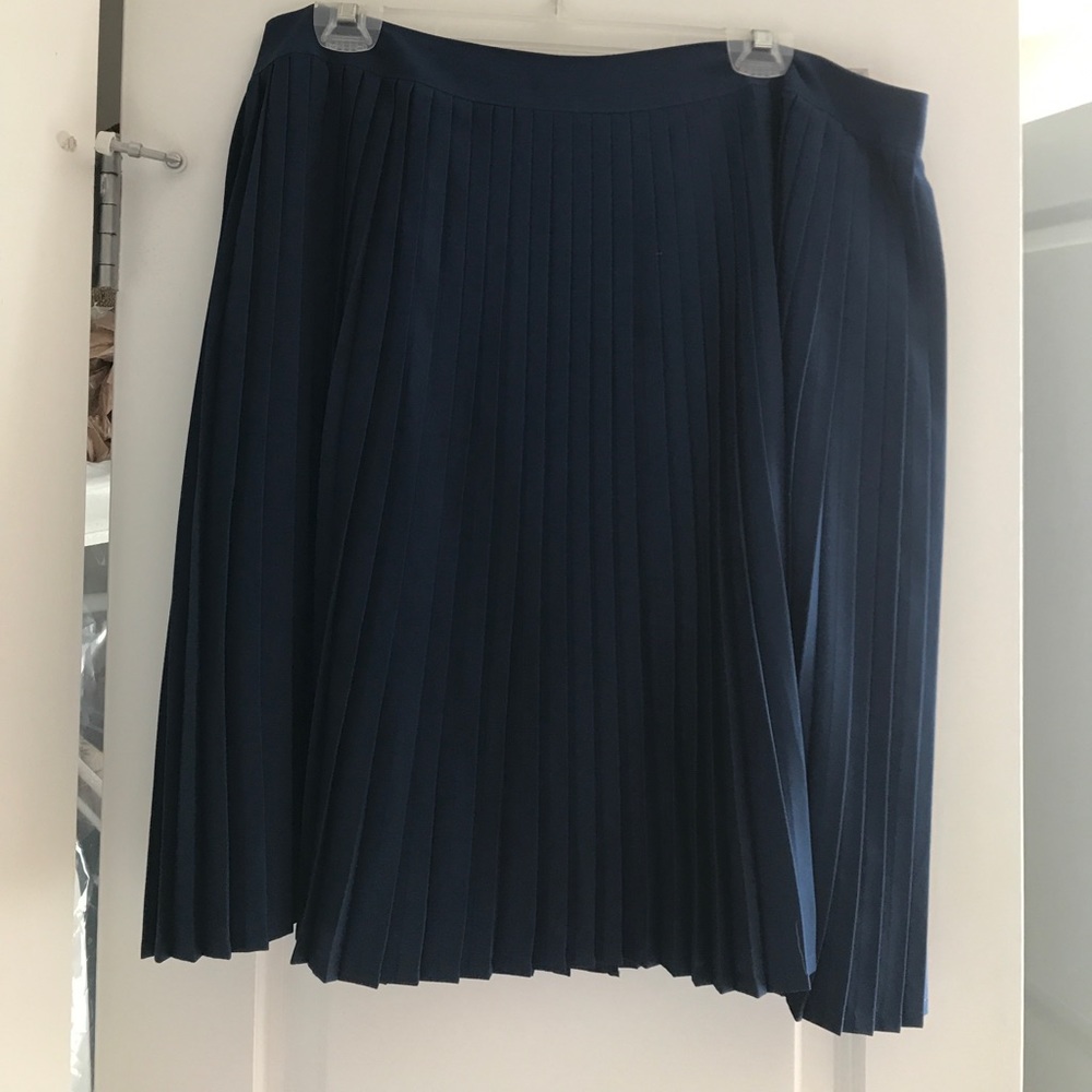 Navy Blue Knee-Length Pleated Skirt