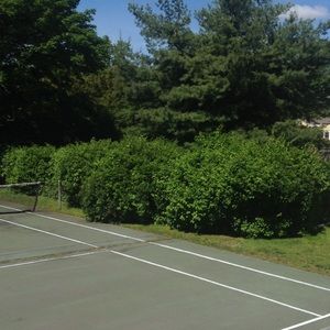 Meet your Posher, Dale