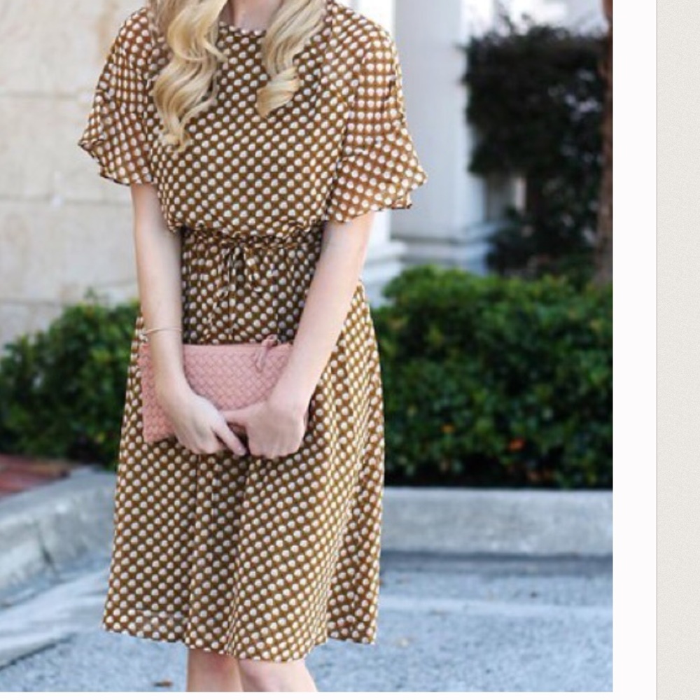 LOFT Ann Taylor Flutter Dress