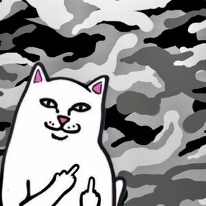 Meet your Posher, Bryce