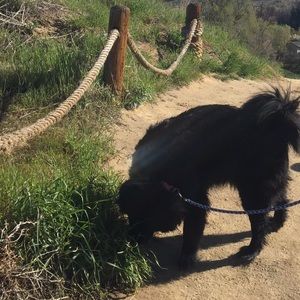 Meet your Posher, Tobi