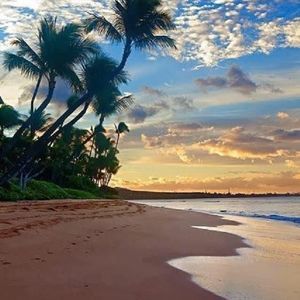 Meet your Posher, Michele