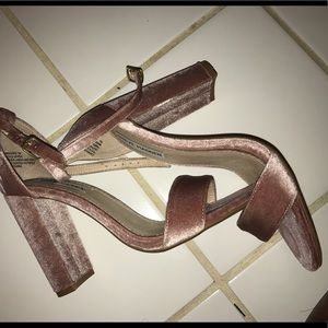 Steve maddens Velvet Rose heels