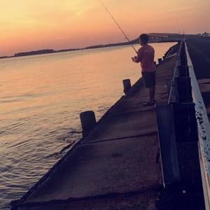 Meet your Posher, Felipe