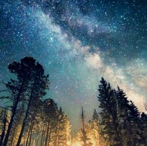 Meet your Posher, Rosie