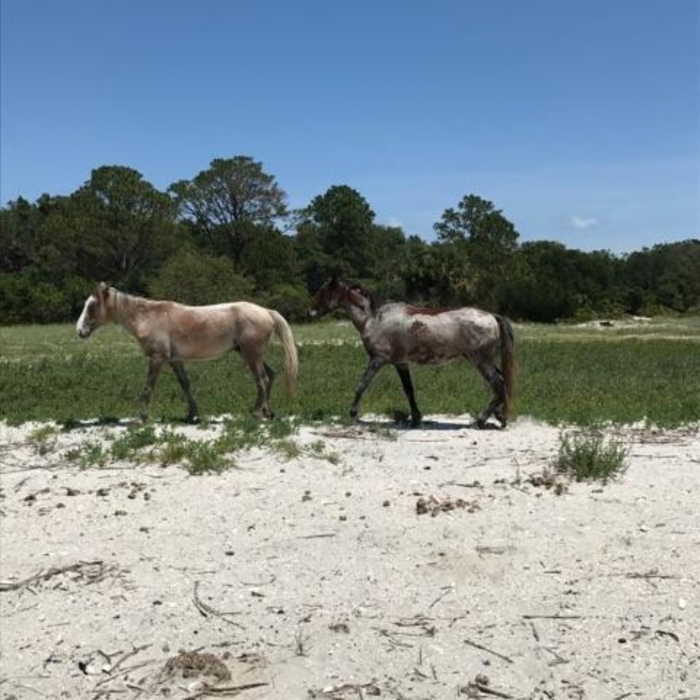 Meet your Posher, Dar