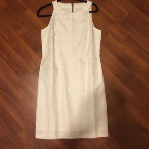 LOFT Ann Taylor shift Dress sz8 NWT
