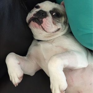 Meet your Posher, John