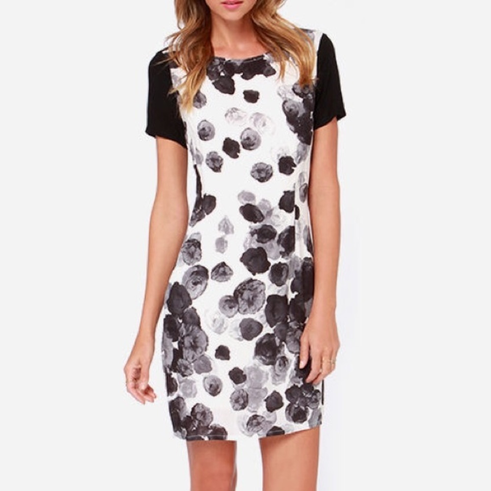 🍇SALE Lulu's Black Swan Dress, Small
