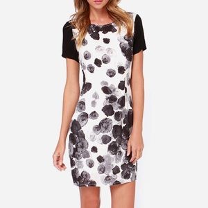 🍇SALE Lulu's Black Swan Dress, Small