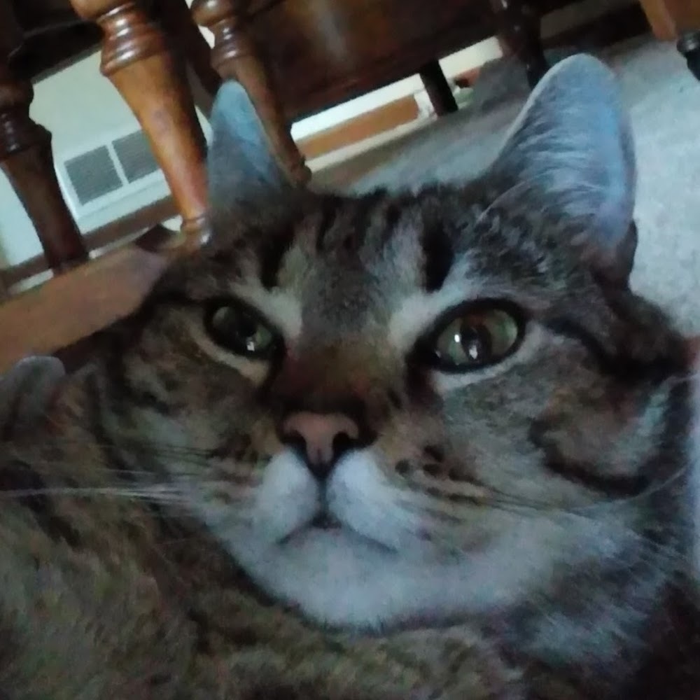 Meet your Posher, Jackie