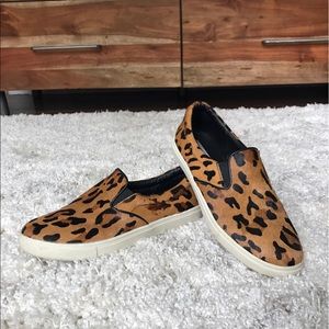 Steve Madden "Ecentric" Leopard Slip On Sneakers