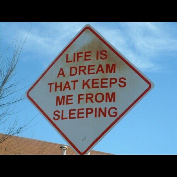 Meet your Posher, Nikki - Picture 1 of 1