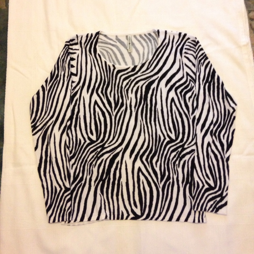 Zebra Striped Sweater