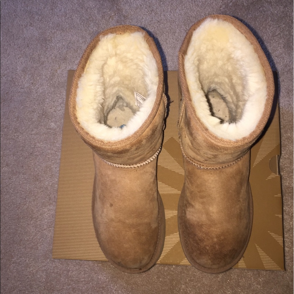 Chestnut Uggs