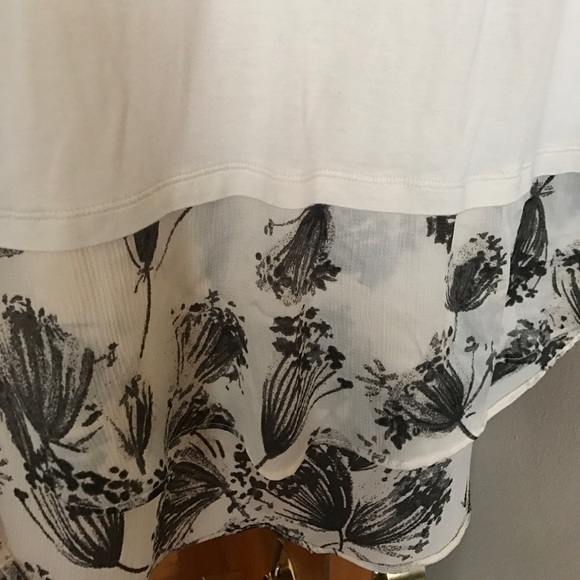 Louse - Picture 2 of 3