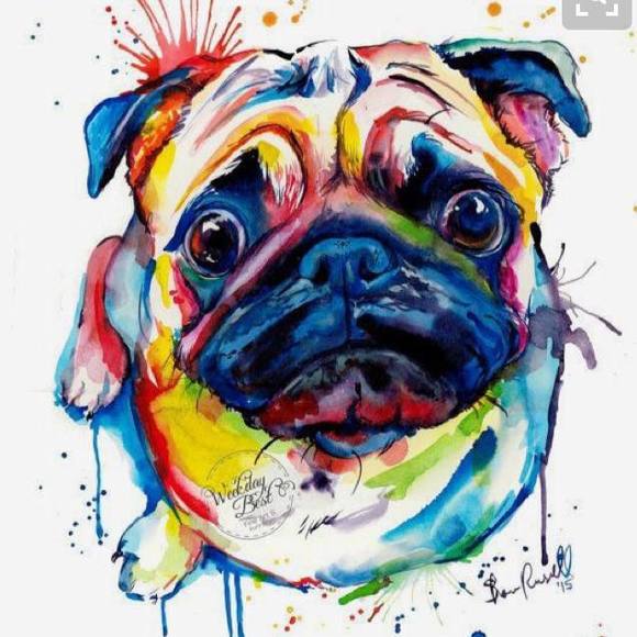 Meet your Posher, Maria - Picture 2 of 3