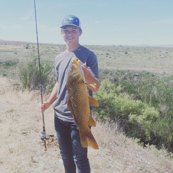 Meet your Posher, Ethan - Picture 1 of 1