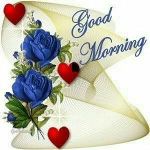 Meet your Posher, Evelyn