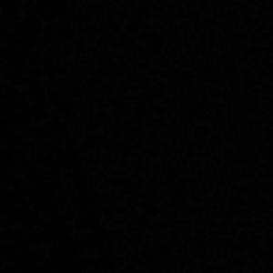 Meet your Posher, Evelin