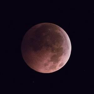 Meet your Posher, Sebastian