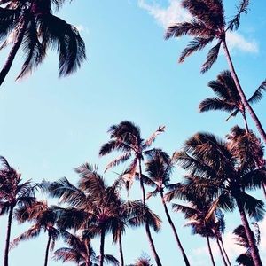 Meet your Posher, Tricia