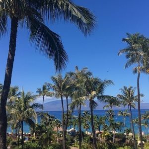 Meet your Posher, Charlotte